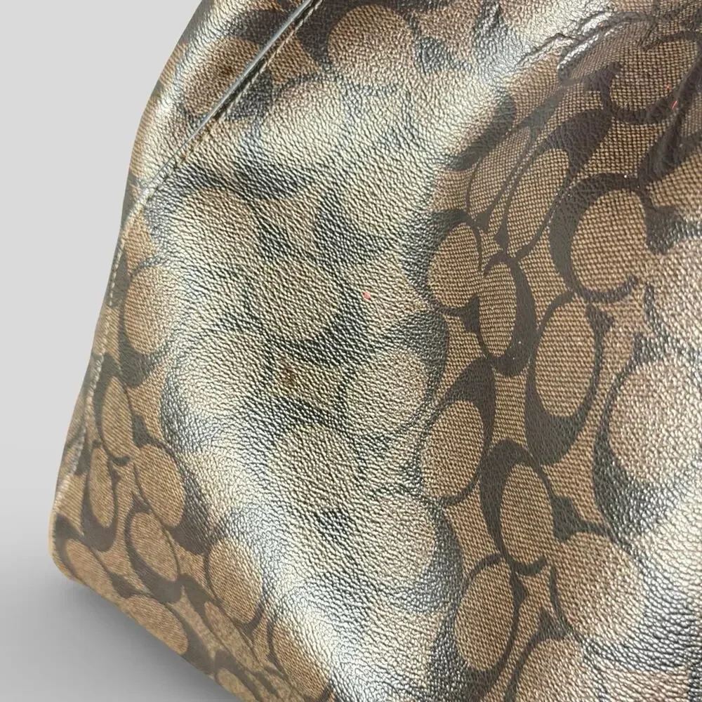 Coach signature celeste